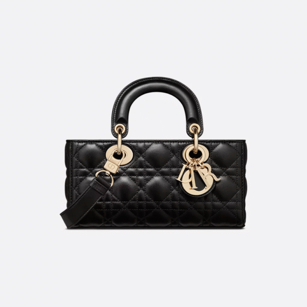 Dior Lady