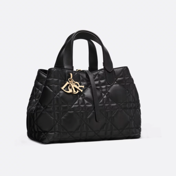 Dior Toujours